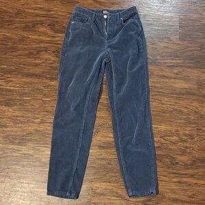 BDG Navy Corduroy Straight-Leg Pants